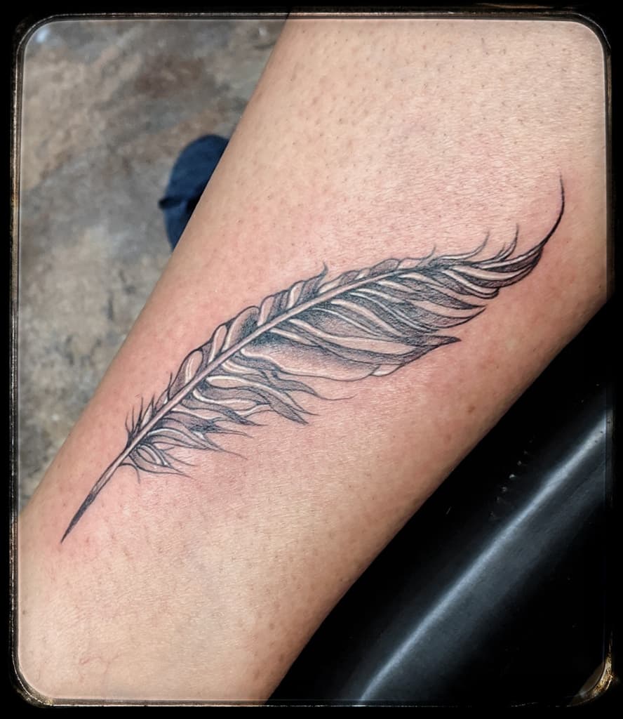 Single long feather with soft shading, black and grey