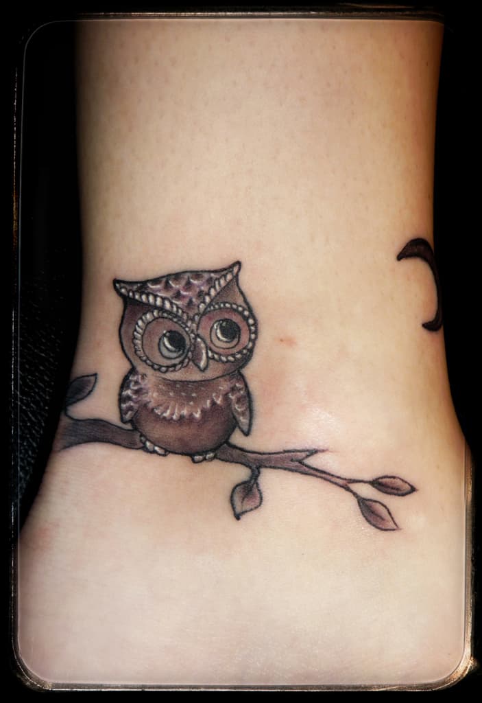 Small cartoon owl perched on a leafy branch, soft brown and grey shading on the ankle