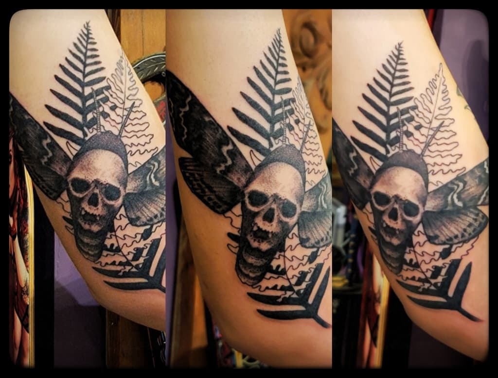 Moth with a skull for a body over two fern fronds, one solid and one outlined, black and grey on the arm
