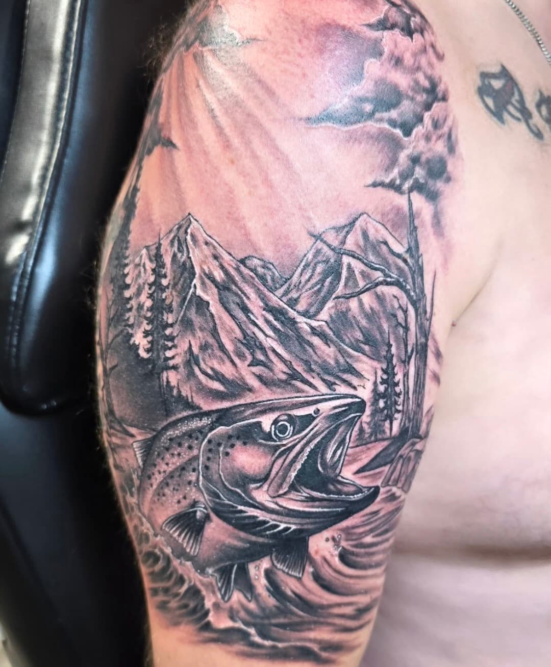Trout leaping from a river below mountain peaks, black and grey on the shoulder