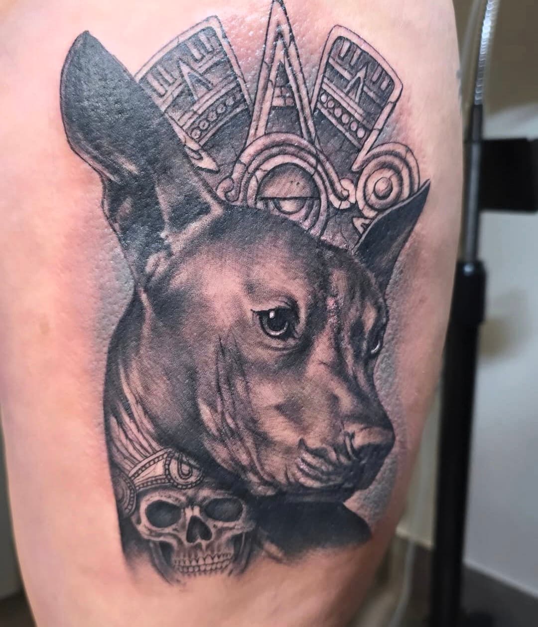 Dog in an Aztec headdress above a small skull, black and grey on the thigh